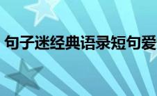 句子迷经典语录短句爱情（句子迷经典语录）