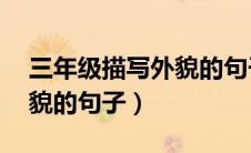 三年级描写外貌的句子50字（三年级描写外貌的句子）