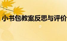 小书包教案反思与评价（小书包教案及反思）