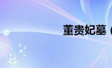 董贵妃墓（董贵妃）