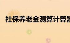 社保养老金测算计算器（社会保险计算器）