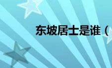 东坡居士是谁（易安居士是谁）