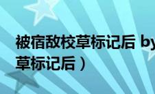 被宿敌校草标记后 by顾迢百度云（被宿敌校草标记后）