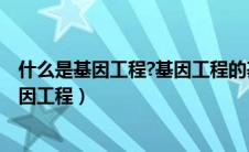 什么是基因工程?基因工程的基本流程是怎样的?（什么是基因工程）