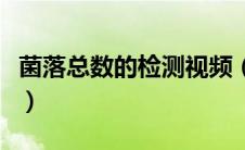 菌落总数的检测视频（菌落总数检测方法视频）