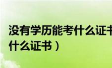 没有学历能考什么证书好就业（没有学历能考什么证书）
