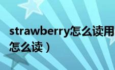 strawberry怎么读用中文标出（strawberry怎么读）