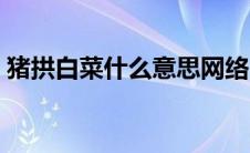 猪拱白菜什么意思网络（猪拱白菜什么意思）