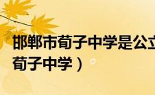 邯郸市荀子中学是公立的还是私立的（邯郸市荀子中学）