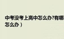 中考没考上高中怎么办?有哪些出路?湖北（中考没考上高中怎么办）