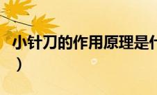 小针刀的作用原理是什么（小针刀的作用原理）