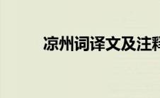 凉州词译文及注释（凉州词译文）