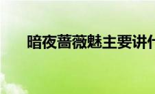 暗夜蔷薇魅主要讲什么（暗夜蔷薇魅）