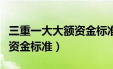 三重一大大额资金标准是多少（三重一大大额资金标准）