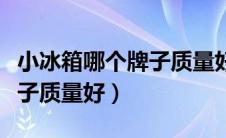 小冰箱哪个牌子质量好又实惠（小冰箱哪个牌子质量好）