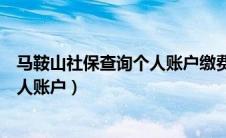 马鞍山社保查询个人账户缴费明细查询（马鞍山社保查询个人账户）