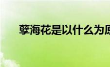 孽海花是以什么为原型（孽海花简介）
