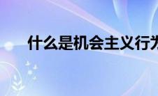什么是机会主义行为（机会主义行为）