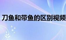刀鱼和带鱼的区别视频（刀鱼和带鱼的区别）