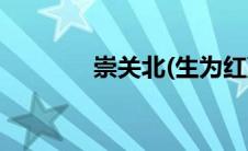 崇关北(生为红蓝)（崇关北）