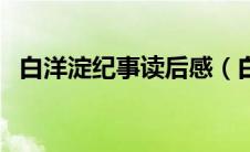 白洋淀纪事读后感（白洋淀纪事好词好句）