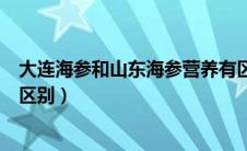 大连海参和山东海参营养有区别吗（大连海参和山东海参的区别）