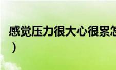 感觉压力很大心很累怎么办（压力太大怎么办）