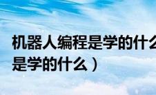 机器人编程是学的什么语言类型（机器人编程是学的什么）