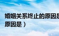 婚姻关系终止的原因是单选（婚姻关系终止的原因是）