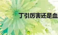 丁引厉害还是血魔厉害（丁引）