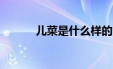 儿菜是什么样的（儿菜是什么）