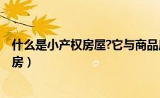 什么是小产权房屋?它与商品房有什么区别?（什么是小产权房）