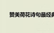 赞美荷花诗句最经典（赞美荷花诗句）