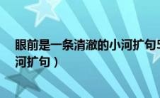 眼前是一条清澈的小河扩句50-100（眼前是一条清澈的小河扩句）
