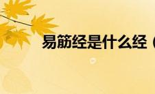 易筋经是什么经（易筋经是什么）