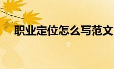 职业定位怎么写范文（职业定位怎么写）