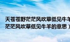 天苍苍野茫茫风吹草低见牛羊的意思是什么地方（天苍苍野茫茫风吹草低见牛羊的意思）