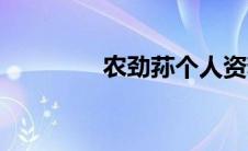 农劲荪个人资料（农劲荪）
