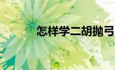 怎样学二胡抛弓（怎样学二胡）