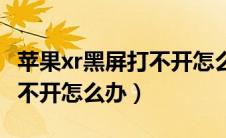 苹果xr黑屏打不开怎么办解决（苹果xr黑屏打不开怎么办）