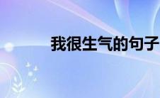 我很生气的句子（生气的句子）
