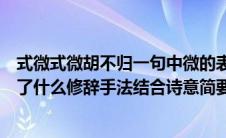 式微式微胡不归一句中微的表达效果（式微式微胡不归运用了什么修辞手法结合诗意简要分析）