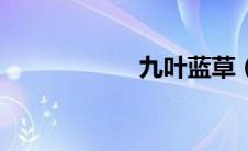 九叶蓝草（九叶蓝）