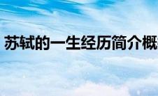 苏轼的一生经历简介概括（苏轼的一生经历）