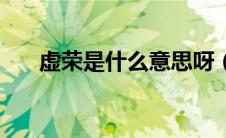 虚荣是什么意思呀（虚荣是什么意思）