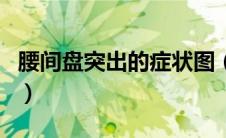 腰间盘突出的症状图（腰间盘突出症状表现图）
