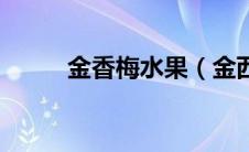 金香梅水果（金西梅是什么水果）