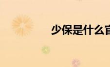 少保是什么官职（少保）