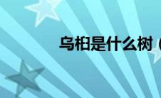 乌桕是什么树（乌桕是什么）