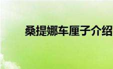 桑提娜车厘子介绍（桑提娜车厘子）